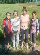 kein Bild vorhanden